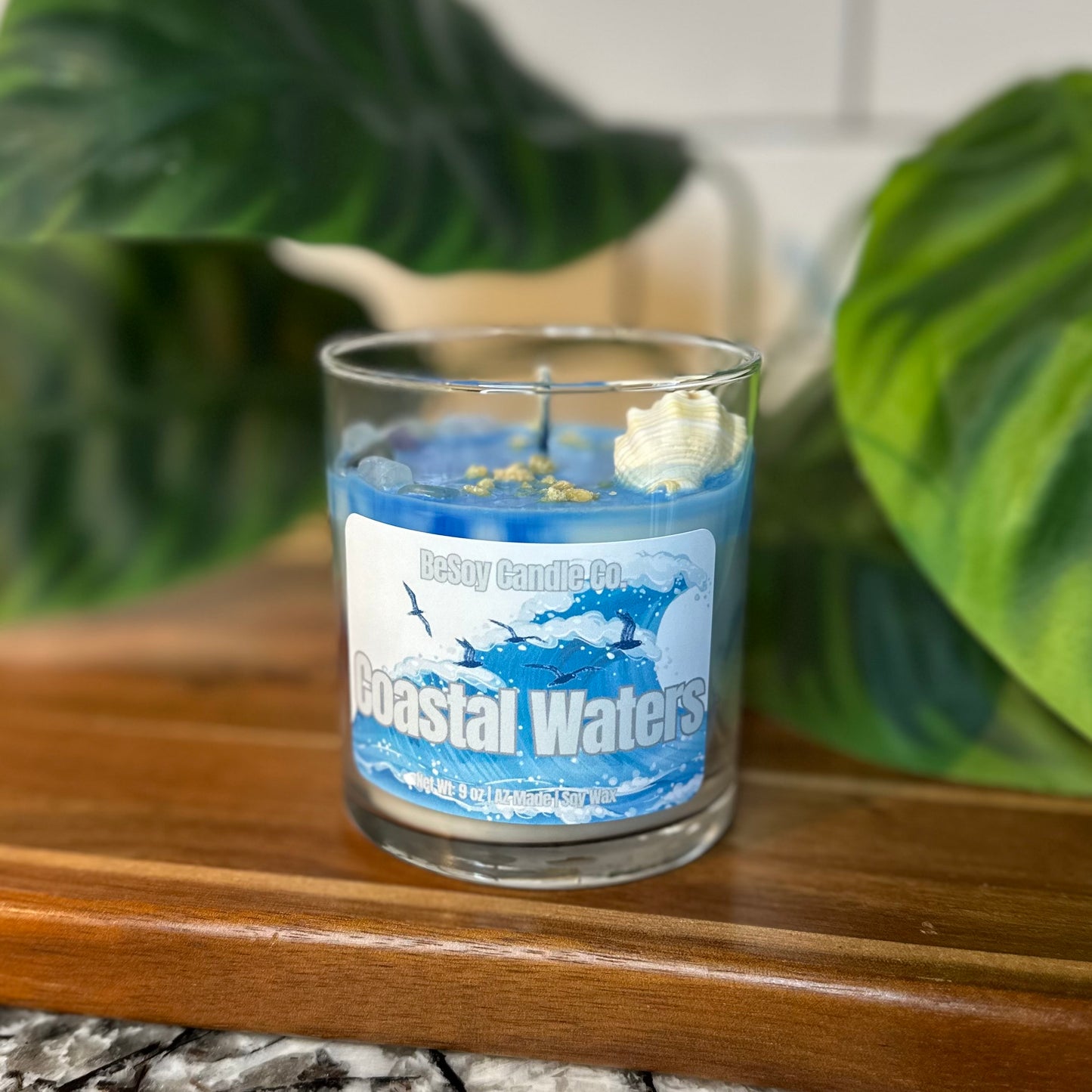 Coastal Waters