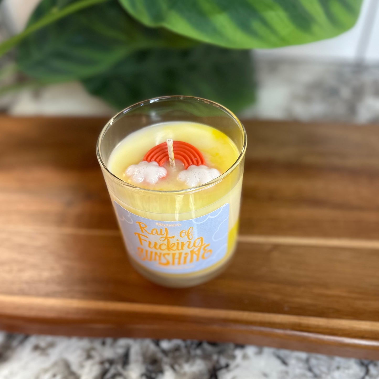 Ray of F*cking Sunshine